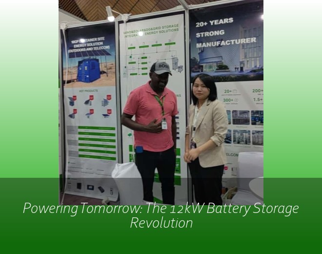 Powering Tomorrow: The 12kW Battery Storage Revolution